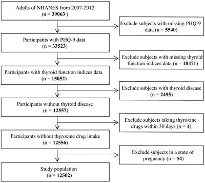 The association between depression and thyroid function
